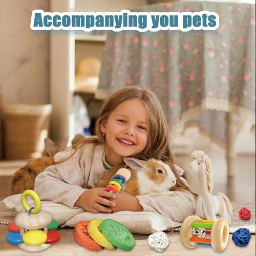 QWR 9PCS Wooden Bunny Toys,Safe Rabbit & Guinea Pigs Teeth Grinding Toy for Chinchillas, Hamsters & Small Animals - Indoor & Outdoor - size: 9PCS