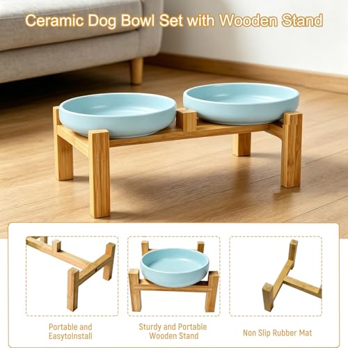 Shallow Elevated Cat Bowls with Bamboo Stand, 6.1 Inch Wide Ceramic Cat Dish Whisker Friendly, 2 Pack Pet Food and Water Plates - color: Sky blue elevated
