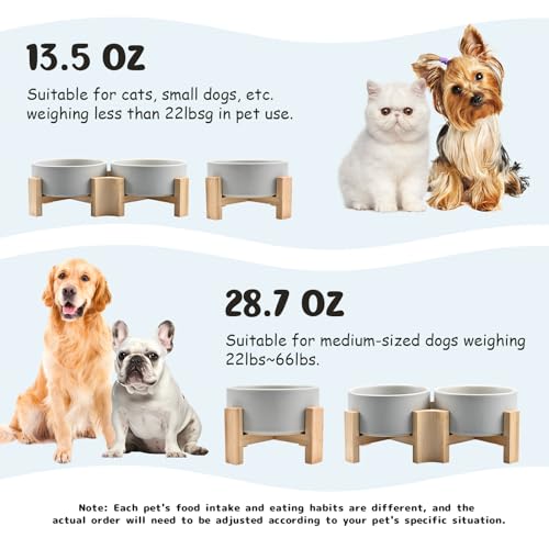 SPUNKYJUNKY 15° Slanted Ceramic Dog and Cat Bowl with Wooden Stand, Tilted Bulldog Food and Water Bowl No Slip Non-Spill for Cats Medium Dogs Big Face Pets 13.5 OZ (1.7 Cups, Grey × 2) - color: Grey, size: 1.7 CUPS × 2