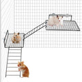 4 PCS Hamster Climbing Platform with Ladder, 2-Tier Stainless Steel Small Animal Playground Climbing Toy for Dwarf Hamster Sugar Glider Mouse Rat Gerbil Guinea Pig Chinchilla Parrot