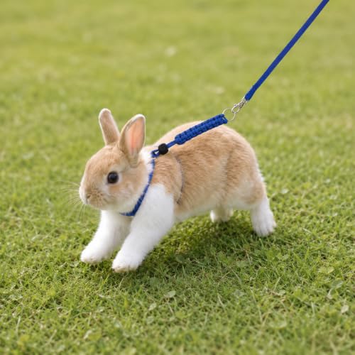 2 PCS Figure 8 Harness and Leash for Small Animals | Harness for Kittens Ferrets Rabbits Guinea Pig Chinchilla and Hamster (Blue+orange)