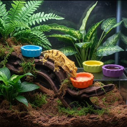 7 Pack Reptile Feeding Dish, Gecko Food Dish, Reusable Silicone Reptile Water Dishs, Small Pet Tank Accessories for Crested/Leopard Gecko, Hermit Crab, Tarantula, Isopods