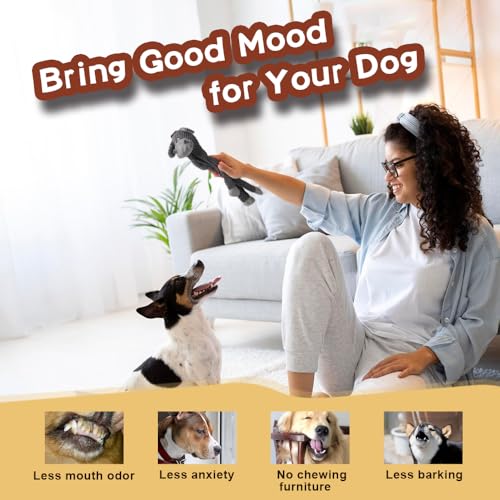 Act boldly 5 Pack Dog Squeak Toys, Durable Plush Chew Toys for Small, Medium & Large Dogs for Teething & Interactive Play - color: brown/white/grey/green