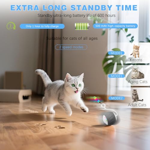 Upgraded 2.36 Inch Large Interactive Cat Toys Ball for Indoor Cats, Gray | Motion and Sound Activated, 2 Speeds, Rechargeable, 5 Replaceable Tails, Stuck-Free Motor, Pink Also Available - color: Gray