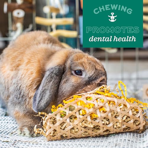Oxbow Roll Arounds, Rabbit & Guinea Pig Toys, Bunny Enrichment Toys | Oxbow Enriched Life, Rabbit Chew Toys, Guinea Pig Enrichment, Guinea Pig Chew Toys, Rabbit Enrichment, Natural Materials