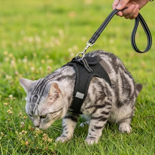 Cat Harness and Leash Escape Proof, Soft Breathable Mesh Kitty Walking Vest, Adjustable Step-in Kitten Harness Set with Reflective Strip for Small Cats - color: Black, size: Medium