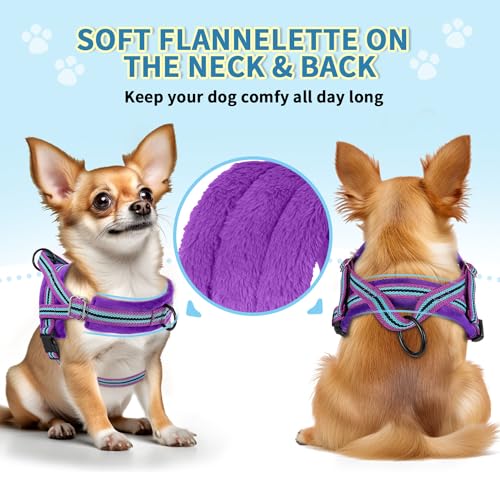 SlowTon No Pull Small Dog Harness and Leash Set with Front Clip | Soft Padded, Neck & Chest Adjustable, Lightweight, Anti-Twist, Puppy Vest Harness Pet Lead Combo for Small Medium Dog, PU S - color: Purple, size: Small