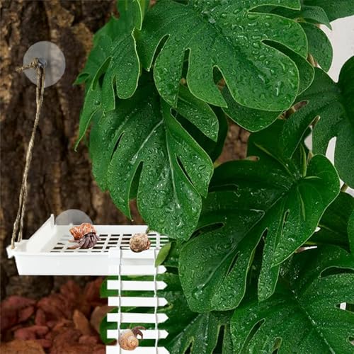 Hermit Crab Habitat Accessories - Plastic Grid Ladder Hammock for Hermit Crab, Hamster, Guinea Pig (White)