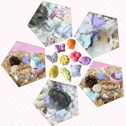 Hamiledyi 10 Pieces Hamster Teeth Grinding Lava Block Calcium Stone Chew Toys for Chinchillas Rabbits Gerbil Guinea Pig Syrian Hamster Squirrel Ferret