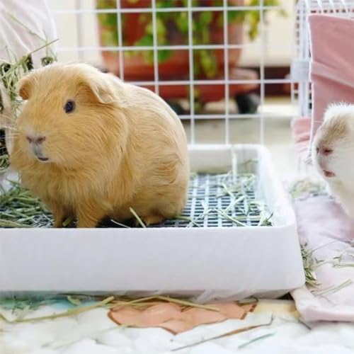 PODOO Rabbit Litter Box – Training Potty Tray for Guinea Pig & Small Pets · Spacious Grid Pan with Low Entrance, Easy-Clean & Odor-Resistant—Helps Keep a Clean Cage and Reduce Mess - size: 2Pcs x Medium