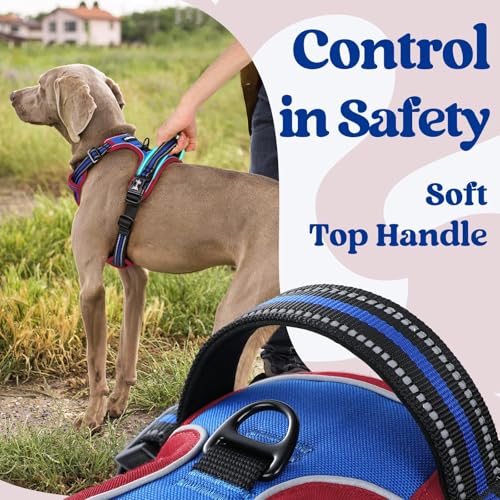rabbitgoo Dog Harness Small Sized, Updated Easy On & Off with 3 Buckles | No Pull No Choke, Walking with 2 Clips and Handle, Adjustable Soft Reflective, Blue & Red, Small - color: Blue & Red, size: Small