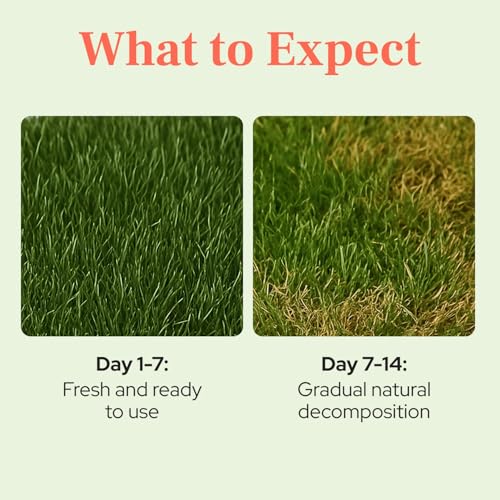 Guinea Pig Pee Pads, Fresh Grass Mat, Hamster Small Pet Bed 12x9 | Hydroponically grown grass with 2x the grazing area - great for guinea pigs, hamsters, hedgehogs, and multi-pet households - size: 12x9 Inch (Pack of 1)