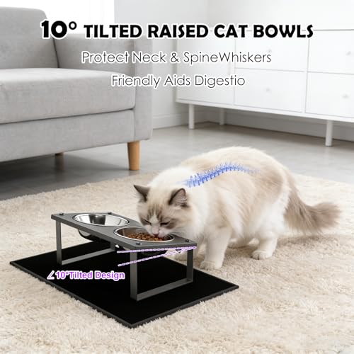 Elevated Cat Bowls with Splash Proof Mat for Kitten Puppy, 10° Tilted Raised Cat Bowl Stand Anti-Vomiting, 2 Wide Shallow Stainless Steel Bowls, Whisker Friendly, 3.5" Tall - color: Black-2bowls