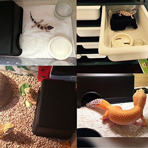Hypeety Reptile Hide Box Small Animal Hide Cave for Snakes Lizards Geckos | Durable, safe material, with texture surface, helps peeling, easy to clean, provides secure hiding space, balck, 2 pack, S/M