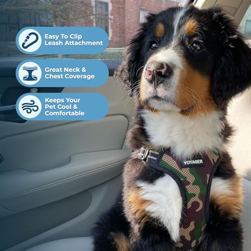 Voyager Step-in Flex Adjustable Dog Harness - Army, X-Small | 13 - 16" in Chest, Fully Adjustable, Reflective Bands, All Weather Breathable Air Mesh, Lightweight, Fast Drying - color: Harness (Army/Black Trim), size: XS