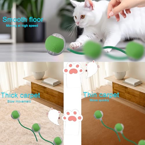 Interactive Cat Dog Toy Ball with LED Light, Automatic Rolling(Green) | String Tail and LED Light Design, Motion Activated, Suitable for Interactive Indoor Pet Play and Exercise - color: Green