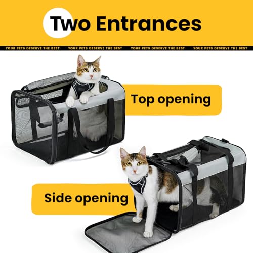 Conlun Soft-Sided Cat Carrier for Small-Medium Cats, Puppies up to 15 Lb, Airline Approved - color: Grey, size: M