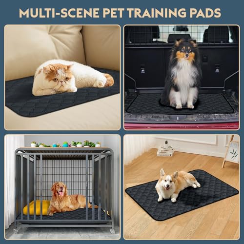 FunFurry Washable Pee Pads - 2 Pack Reusable, Waterproof, Super Absorbent Dog Training Pads with Non-Slip Backing (Dark Grey, 41" X 41") - color: Dark Grey, size: 41" X 41" - 2 Pack