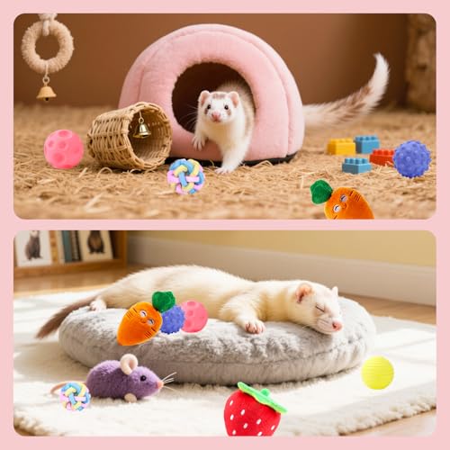 Ferret Toys Set Teething Balls Squeaky Toys Chew Toys | 12 Pack Colorful Teething Balls Squeaky Toys Cute Ferret Plush Toy Interactive Ferret Rat Small Animals Cage Exercise