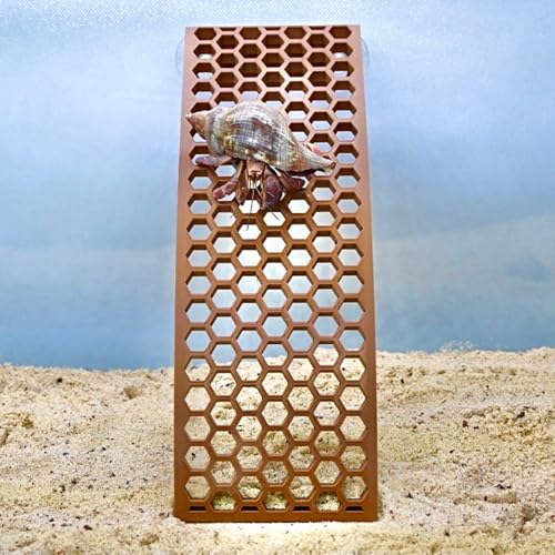 Hermit Crab Ladder Ramp Climbing Toy | Hermit Crab Tank Enrichment Decor | Hermit Crab Decoration Accessories Supplies Toys Ornaments