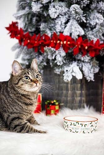 Pearhead Ceramic Merry Catmas Cat Bowl, Holds 12 oz, Holiday Christmas Design, Seasonal Pet Food and Water Dish - color: Merry Catmas, size: Single Bowl