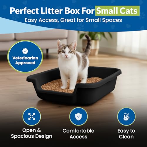 KittyGohere Senior Cat Litter Box Small with Scoop, Black | Open Top Low Entrance Kitty Litter Box With With Long-handle Jumbo Scoop, Lightweight & Durable Litters Box, Made in USA - color: Black, size: Small with Scoop