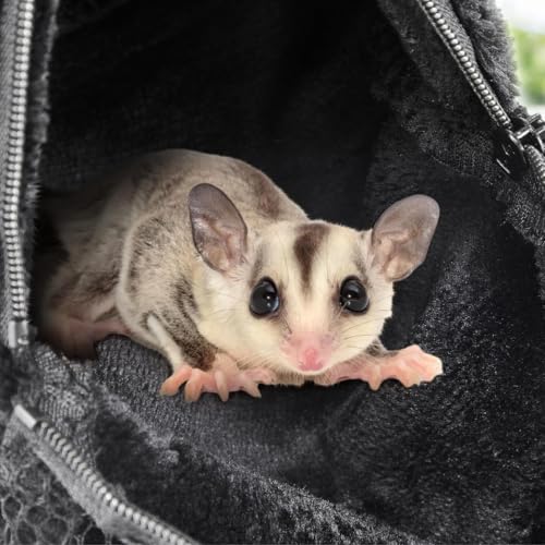 Small Pet Carrier, Sugar Glider Pouch for Men & Women Travel Bag | Premium plush small pet carrier pouch for adults. Breathable mesh travel crossbody bag for sugar glider. Durable pet gear.