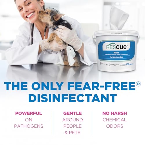 REScue One-Step Disinfectant Cleaner & Deodorizer Wipes for Vet Use – Cleaner for Kennels, Litter Boxes, Vet Offices, Pet Grooming Surfaces – Extra Large, 160-Count Wipes Bucket (4 Pack) - size: Bucket (4 Pack) XL Wipes
