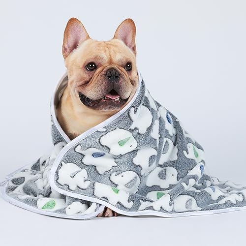 1 Pack 3 Blankets Super Soft Fluffy Premium Cute Elephant Pattern Pet Blanket Flannel Throw for Dog Puppy Cat Dark Grey Large(41x31 inch) - color: Dark Grey, size: 41x31 inch (Pack of 3)