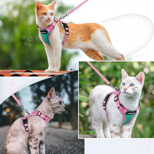 rabbitgoo Cat Harness and Leash Set, Escape Proof, Green & Pink | Adjustable Fit, Snap Buckles, Soft Breathable Vest, Secure Clip, Reflective Strips, for Small & Average Cats Walks, Xs - color: Green & Pink, size: Xs