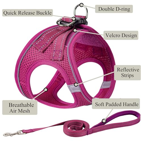 Dog Harness with Leash Set, Step-in Adjustable Puppy Vest, Rose Red XXS | Lightweight Breathable Air Mesh, Night Safety Reflective, No Pull Puppy Vest Harnesses for Small Medium Large Dogs, Cats - color: Rose Red, size: XXS(Chest:10"-12")