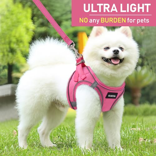 GAMUDA Small Pet Harness Collar and Leash Set, Step in No Chock No Pull Linen Fabric Soft Mesh Dog Vest Harnesses Reflective for Dogs Puppy Cats Kitten Rabbit (Pink, XXS) - color: Pink, size: XXS
