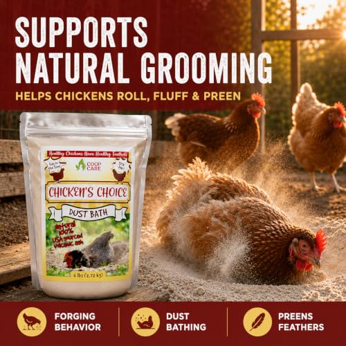 Chicken's Choice Chicken Dust Bath, 6 lb Natural Volcanic Ash Dust Bath for Chickens. Dust Mix for Healthy Chickens, Chinchillas, Small Animals. Made in The USA. Coop Accessories (1, Volcanic Ash)