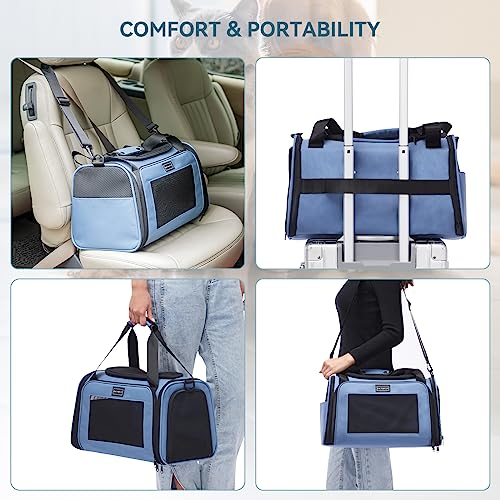 PETSFIT Pet Carrier, Blue, Small and Medium Cats, Puppies Up to 12 Lbs | Dog Carrier, Airline Approved, Collapsible Soft Sided, TSA Approved, Cat Travel Carrier - color: Blue, size: Medium