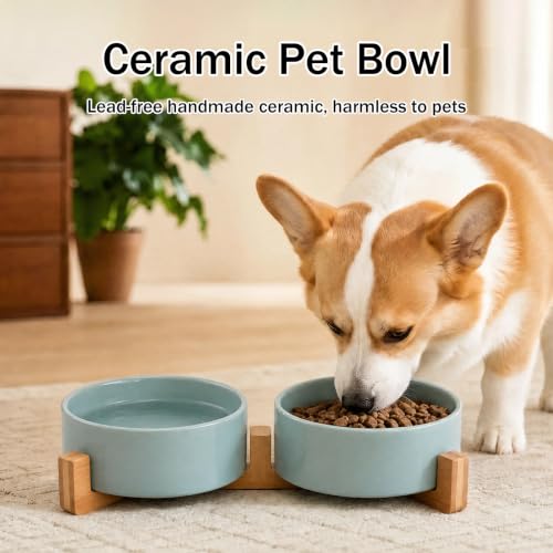 MateeyLife Ceramic Dog and Cat Bowls with Stand, 2-Pack Food and Water Bowl Set - Non-Slip Pet Bowls for Cats,Puppies and Small Dogs, 13.5OZ（Green） - color: Green, size: S-1.5Cup