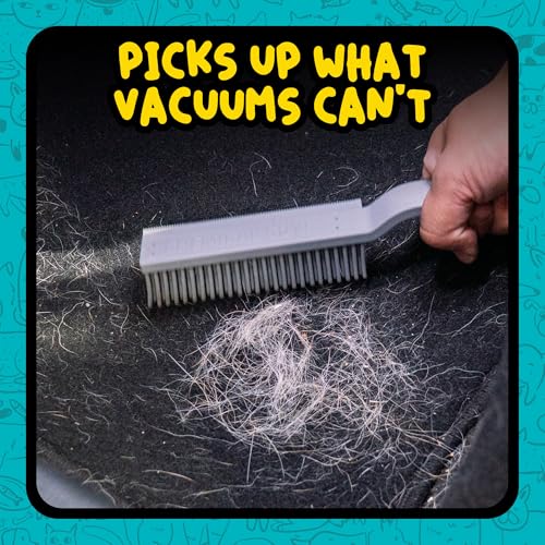 Chemical Guys, Multi-Surface Pet Hair Removal Brush for Upholstery & Carpet | Rubber bristles pull pet hair, lint and debris off seats, carpet and upholstery in cars and at home - size: (Pack of 1)