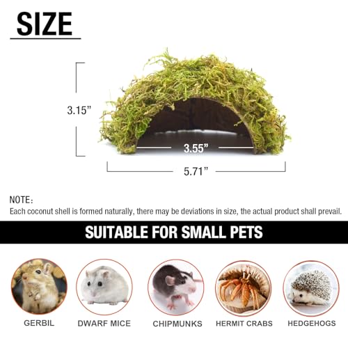 Hamster Hideaway/Hideout,Mossy Cave Hide,Hamster House/Hides,Hamster Cage Accessories for Gguinea Pig/Hedgehogs/Gliders/Rats/Mice and Other Small Animals (Small) - size: Cave, Small