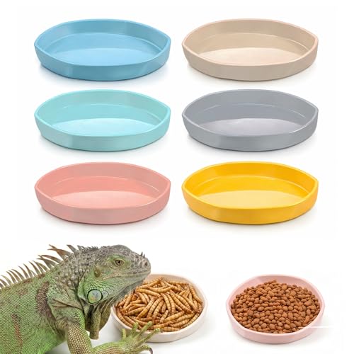 6 Pack Plastic Water Feeder Bowl Small Reptile Food Dish Bowl Reusable Worm Water Dish Plate Small Reptile Feeding Dishes for Lizard Gecko Bearded Dragon Chameleon Hermit Crabs 4" W x 4" D x 0.5" H