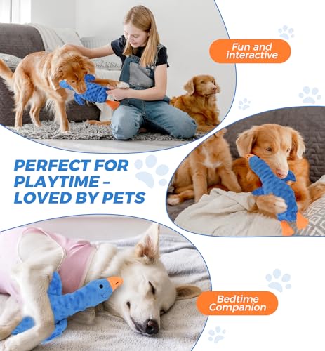 Squeaky Plush Dog Toy for All Breeds, Multifunctional Goose Dog Toy with Honking Sound, Crinkle Paper, Treat Pocket, Durable Soft Stuffed Animal for Chewing, Cuddling, Interactive Play (Blue) - color: Blue