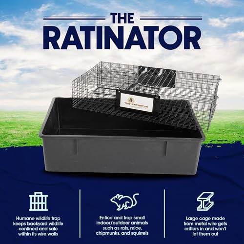 Rugged Ranch Ratinator Large Dual Door Live Rat & Mouse Trap Cage, 2-Pack | Humane Multi-Catch Rodent Control for Indoor or Outdoor Use, Reusable Catch and Release Wire Metal Cage for Rats and Mice - color: Rat, size: 2 Pack