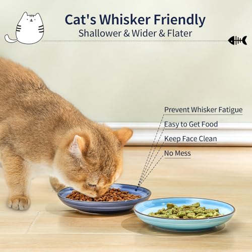 Selamica Ceramic Cat Food Bowl, 6 Inch Cat Bowls Whisker Friendly, Shallow Wide Kitten Plates for Food and Water, Set of 6, Gradient Blue - color: Gradient Blue, size: 6 Inch, Set of 6