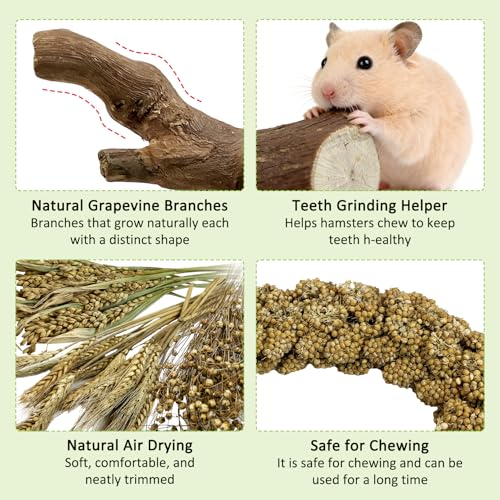Tfwadmx 2PCS Wood Hamster Climbing Branches & Small Animal Natural Ear of Grain Spray Hamster Bedding Habitat Decor Rat Exercise Toys Treat Cereal Grain for Hamsters Gerbils