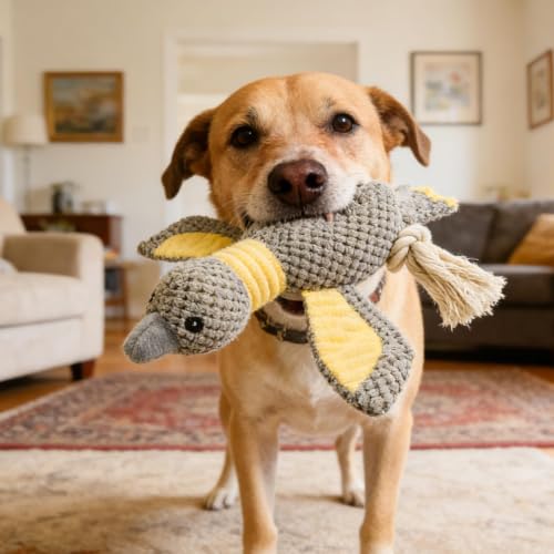 Dog Squeaky Toy Plush Goose Dog Chew Toy with Cotton Rope Tassels, Interactive Tug Toy for Small, Medium and Large Dogs - color: Gray Bird