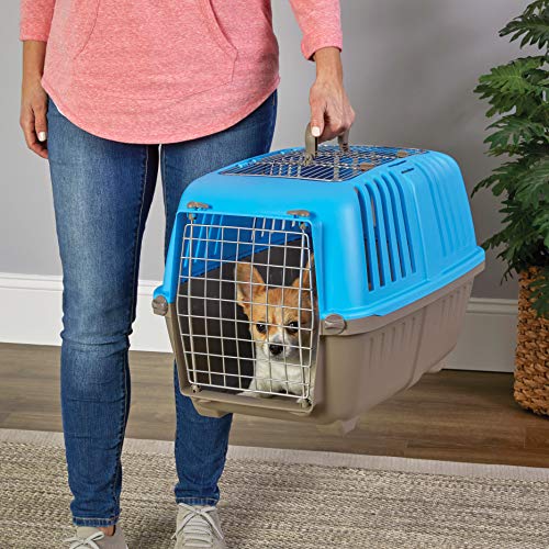 Spree by Midwest 24-Inch Travel Carrier, Blue, Fits Pets up to 25 lbs | Hard-Sided Pet Carrier, 2-Door, Ventilated Design, Locking Tabs, Easy Assembly - color: Blue