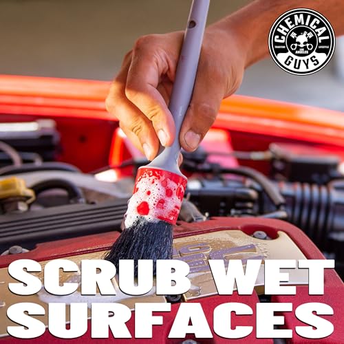 Chemical Guys All in the Details Exterior Detailing Brushes - 3-Piece Soft Scratch-Free Brushes for Wheels, Bumpers, Grilles, Badging & Tight Exterior Gaps on Cars, Trucks, SUVs & More | Three soft, scratch-free brushes reach wheels, bumpers, grilles, bad