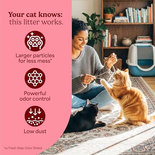 Fresh Step Advanced Clean Paws Multi Cat Clumping Litter with Febreze Freshness, Low Tracking, 18.5 lb. Box, Pack of 2 | Low Tracking Granules for Less Mess, Scented with Febreze Freshness, Low Dust, Compatible with Most Auto Litter Boxes