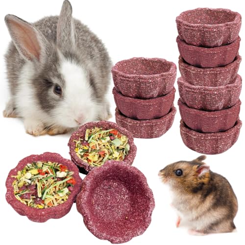 12 Pack Rabbit Chew Toys for Teeth Edible Timothy Hay Chewing Bowl Natural Guinea Pig Toys Small Animal Molar Treats for Bunny Chinchilla Mice Hamster (Purple) - color: Purple