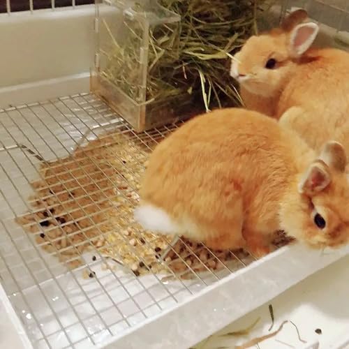 PODOO Rabbit Litter Box – Training Potty Tray for Guinea Pig & Small Pets · Spacious Grid Pan with Low Entrance, Easy-Clean & Odor-Resistant—Helps Keep a Clean Cage and Reduce Mess - size: Medium + Extra Large Steel Holes Grids
