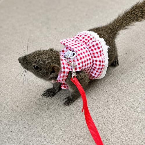 Squirrel Harness and Leash Set,Small Animal Dress Vest for Fancy Rats, Sugar Gliders and Small Pets, Adjustable Walking Outfit with 4FT Leash,Red Plaid, S,1530-1 - color: Red Plaid, size: S: 4-6" Neck, 6-7.5" Chest, Squirrel/Rat