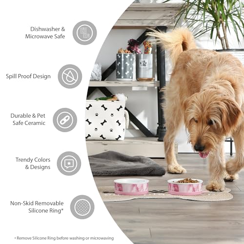 Bone Dry Ceramic Food Bowls, Non-Slip & Dishwasher Safe, Medium Set, 6x2 Terrazzo - color: Terrazzo, size: Medium Set, 6x2"